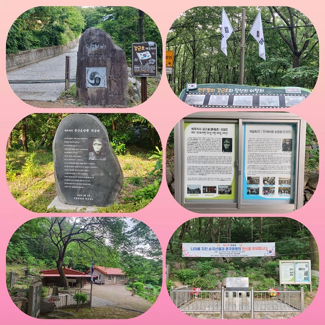 강근호지사 주요 발자취